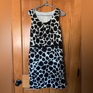 Anne Taylor Loft Professional Dress. Size 8.